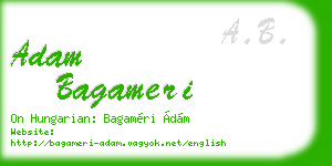 adam bagameri business card