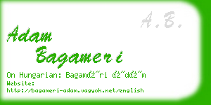 adam bagameri business card